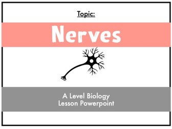 Nerves- WJEC A Level Biology