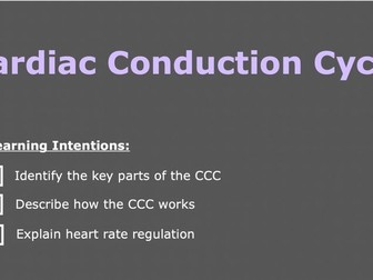 A Level PE - Cardiac Conduction Cycle