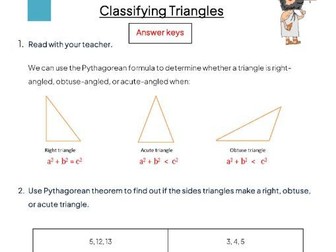 Classify the Triangles Worksheet for Year 7-8