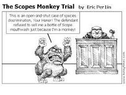 John Scope trial (Monkey Trial) - IGCSE