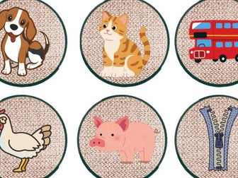 CVC Picture Discs