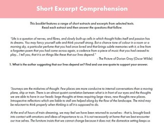 Short Excerpt Reading Comprehension