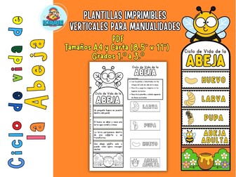 Spanish Bee Life Cycle Craft | Life Cycle Foldable Activity for Grades 1–3