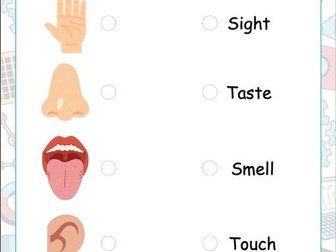 5 Senses Science Activity