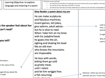 Slow Reader poem lesson with worksheets