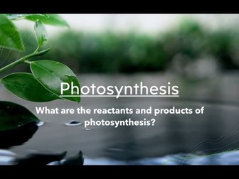 Photosynthesis Edexcel Higher