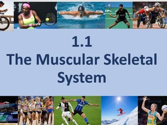 EDEXCEL A-Level PE FULL LESSONS Yr1 Chapter 1 - Muscular Skeletal System