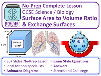 Surface Area to Volume Ratio & Exchange Surfaces