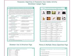 Possessive Adjectives-Case Combo Activity Worksheets