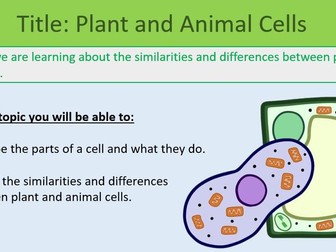 Plant and Animal Cells ~ KS3 ~ Year 7