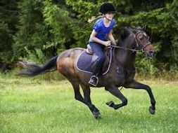 New GCSE Spanish AQA - Theme 1- Topic 3: Free-time activities - ¿Qué haces en tus ratos libres?