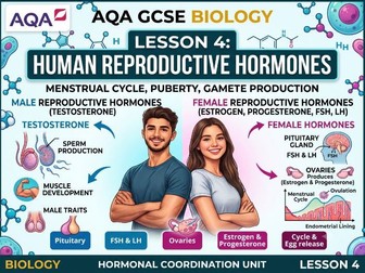 AQA GCSE Biology Hormonal Coordination Lesson 4: Human Reproductive Hormones