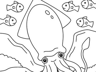 Sea Animals Colouring Pages