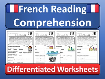 French Reading Comprehension