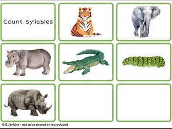 Phonological Awareness Assessment