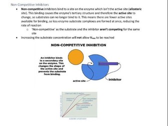 AS/A-Level Year 1 Biology Notes