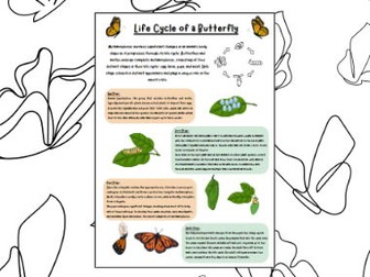 Life cycle of a butterfly - Poster