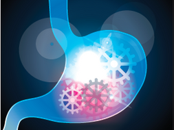 Teaching the digestive system through drama - STEAM resource