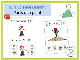 SEN Science Lesson: Parts of a plant
