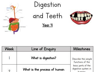 Year 4 - Science - Digestion and Teeth
