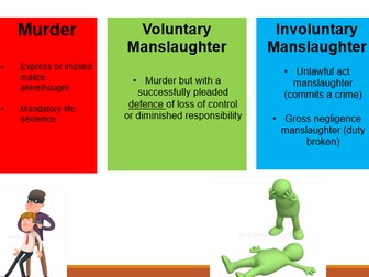 Loss of Control A-Level Law Bundle