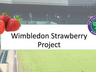 Maths Investigation - Wimbledon Strawberry seller