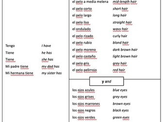 Spanish Sentence Builders