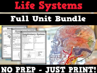 Human Body Systems Worksheets