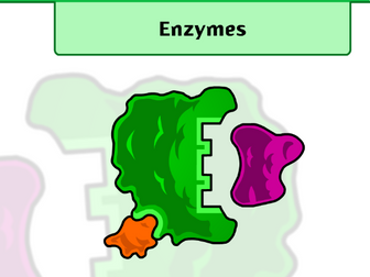 A-level Biology  Enzymes