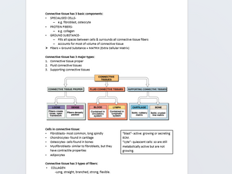 Primary Tissues 1: Connective tissue