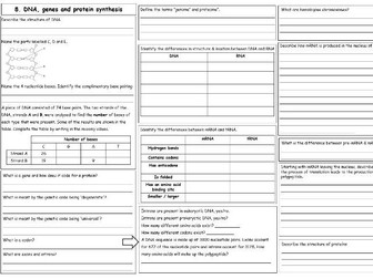 Biology AS - DNA, Genes and Protein Synthesis summary sheet