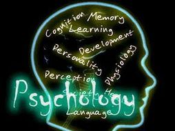 Template for Criminal behaviour theories and studies