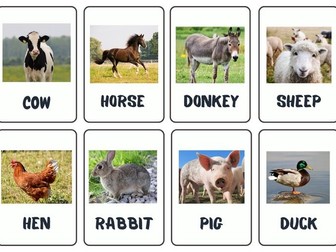 Farm Animal Flashcards