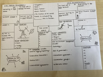 AQA GCSE Geography 13 x Hand-Drawn Dual Coded Sheets