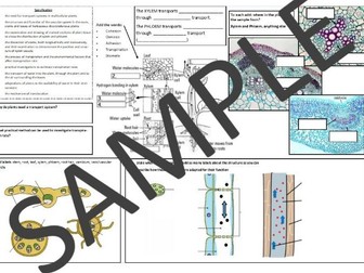 AS Biology Plant Transport Revision / Knowledge Mat