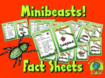 Minibeasts Fact Sheets