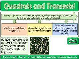 Quadrats and Transects AQA GCSE (9-1) Biology