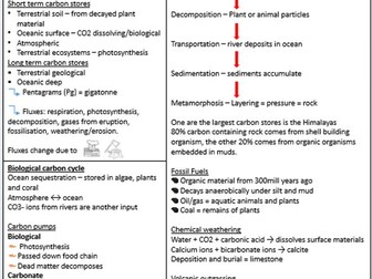 Edexcel A level Geography Carbon  condensed notes