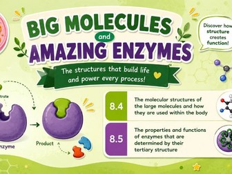 T Level Health Biological Molecules & Enzymes Lesson 8.4–8.5