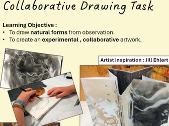 Natural Forms - Experimental Drawing Activities