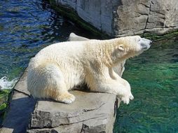 Our Planet - Frozen World Documentary by DocGeog | Teaching Resources