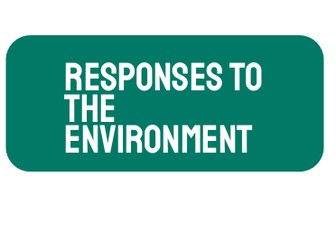 AP Biology Unit 8: Response to the Environment