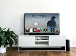 WikiLeaks bombshell: Leaked documents claim spies bugged Samsung TVs