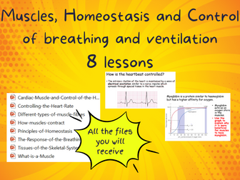 Muscles, Homeostasis and Control of breathing and ventilation