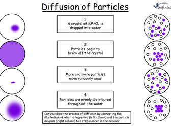 Diffusion - Differentiated Worksheets