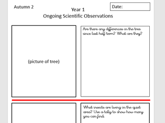 Long Term Observing over time templates - whole school