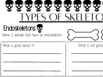 KS2 Types of Skeletons Lesson Pack