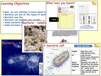 Micro organisms - 3. Bacteria & Antibiotics (PowerPoint, Worksheets and Videos)