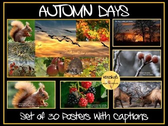 Autumn Display Posters