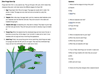 How Frogs Grow Up Science Reading